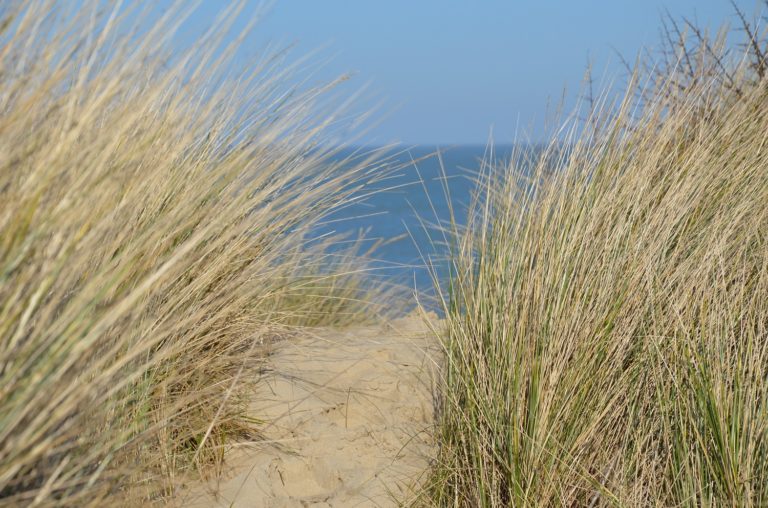 Holland, Nordseeküste und ein Bauernhaus aus dem 18. Jahrhundert