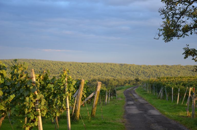 (M)eine Reise ins Burgenland