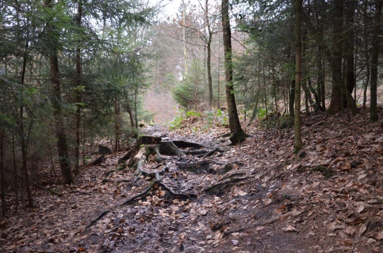 Wanderung durch das Milchborntal