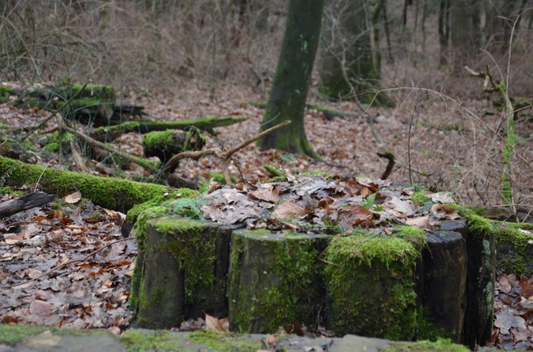 Der Bensberger Schlossweg