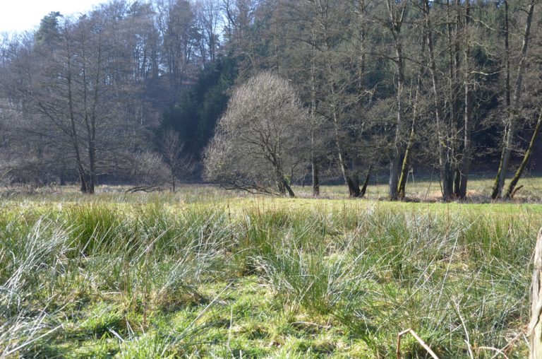 Von Overath nach Much auf dem Bergischen Weg