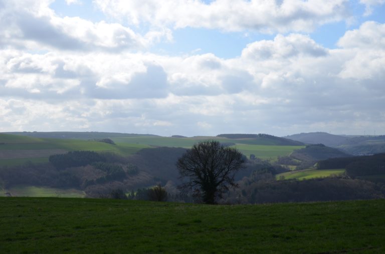 Pfälzer Höhenweg 6. Etappe von Meisenheim nach Lauterecken