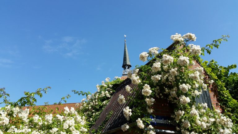 Ostfriesland – genau das Richtige um kurzfristig ein paar Tage auszuspannen