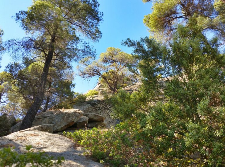 Wanderung zum Petros Felsen auf Sithonia